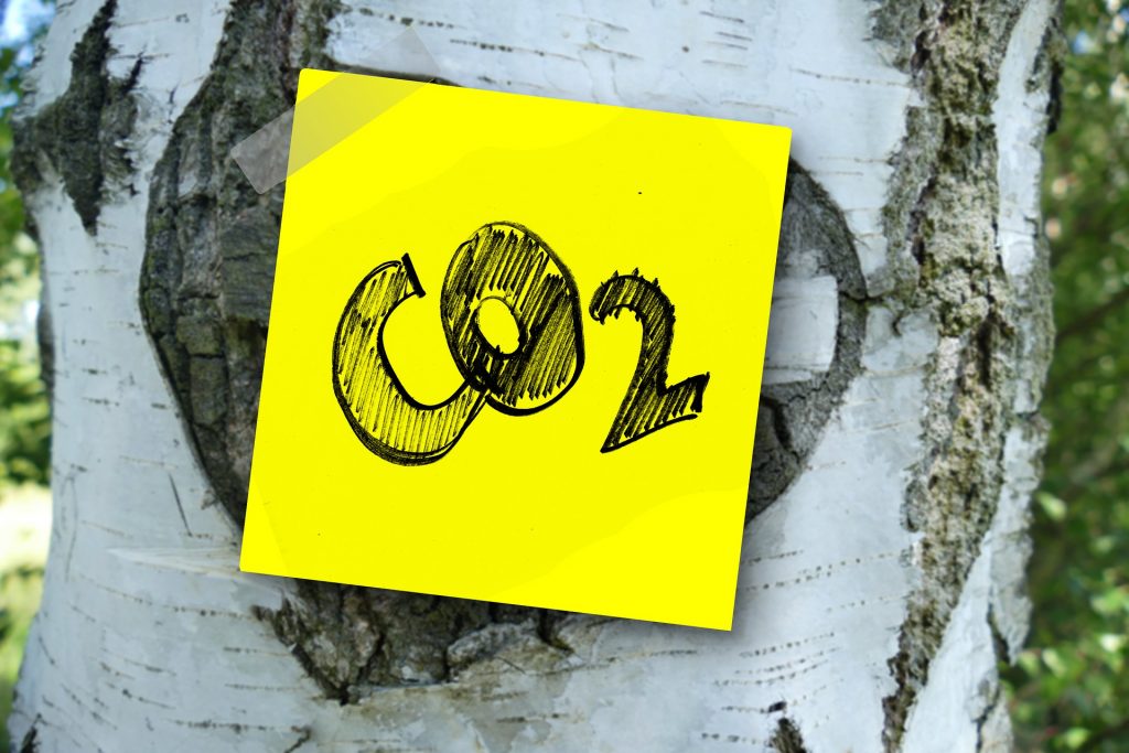 Auf einem Baumstamm klebt ein gelber Post-It, auf dem das Wort CO2 steht.