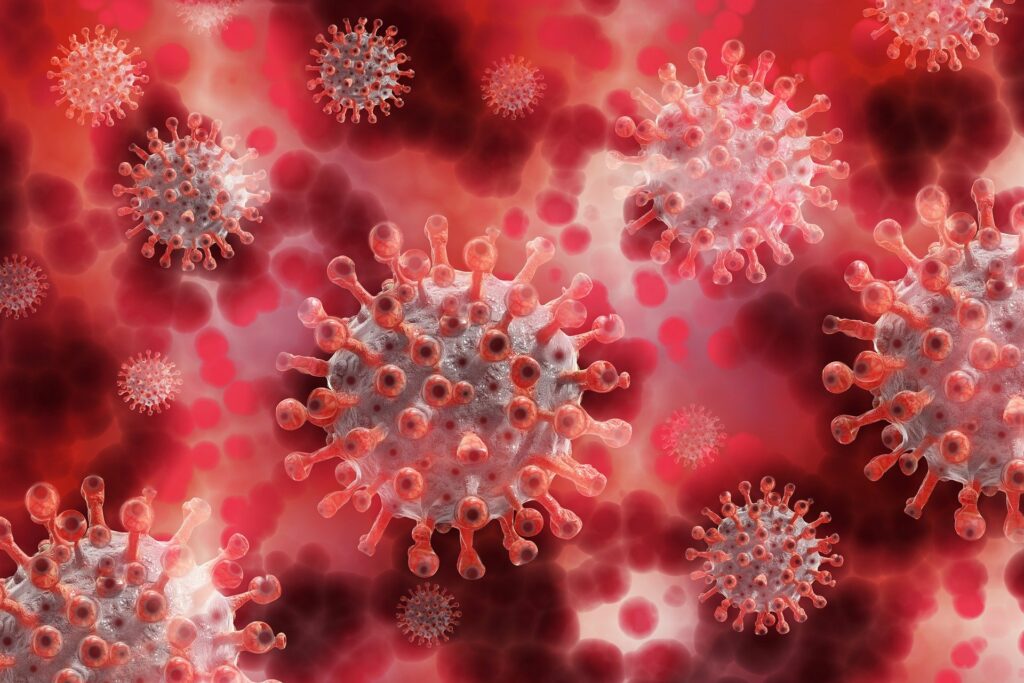 Das Bild zeigt Coronaviren